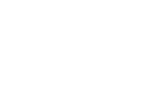 Merilin Cases PNG