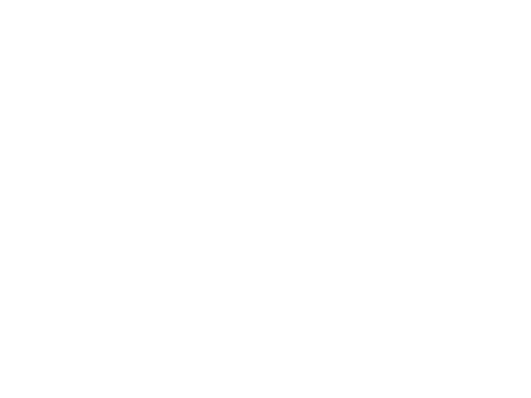 alycegontijo-png